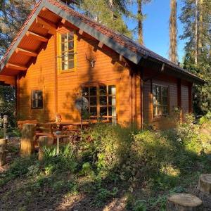 Schönes Ferienhaus in Schmiedeberger Weinberge mit Terrasse und Grill
