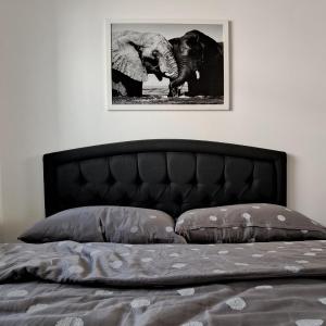 Elephant Apartments