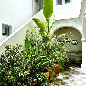 Spacious Private Vejer Patio Home