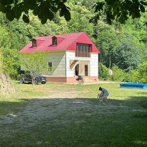 Holiday house in nature