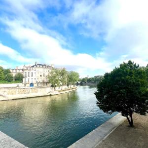 Large Parisian Duplex