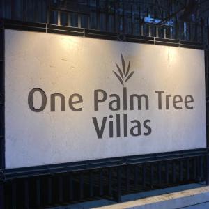 Sheila’s Condotel at One Palm Tree