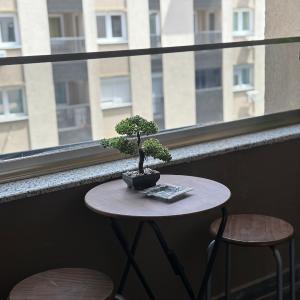 New Lux Apartment