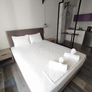 Alkmini Apt