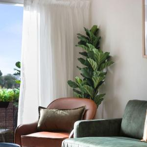 Stylish Urban Retreat on Eden