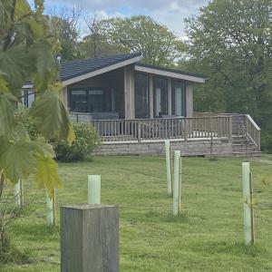 The Cove