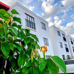 The House Beautiful, Tatu City