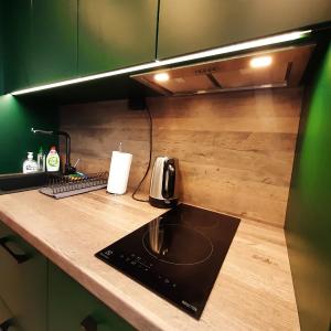 Sunny apartment in centrum