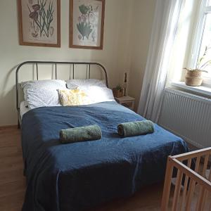 Apartament przy Wandy