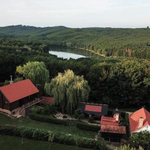 Garić Bajka