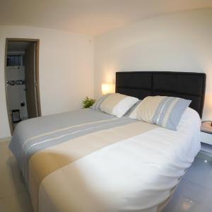2BR Bright & Cozy - Nature Views & Sounds