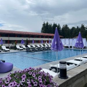 Paradise SPA Hotel