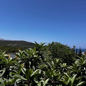 Villa Sadik