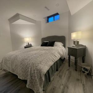 Private modern basement