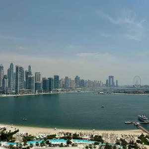 Hospitality Expert 7 Palm Studio Beach Pool Bar
