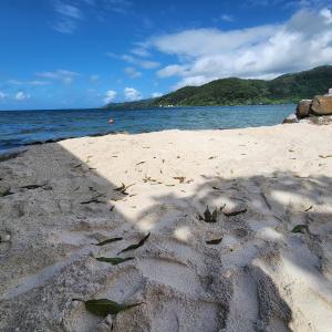 Duplex en bord de mer Fare Tahitea Pension
