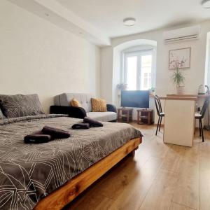 Lovely suite