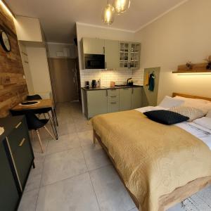 Widok na las, Pod Reglami studio