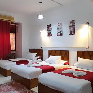 Cairo Bella house - كايرو بيلا هاوس