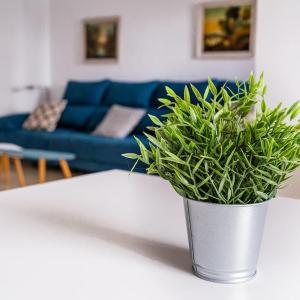 Amplio apartamento Citycenter