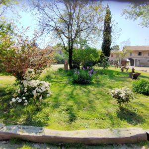 Podere Ronchetto Agriturismo