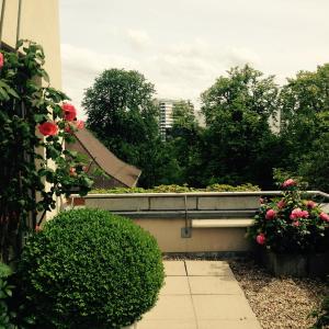 AVLiving City FLAT Basel with Roof Garden