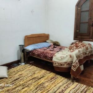 سقاره