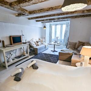 JoyJoyJoy the White Wilde ecolicious studio in a historic Canalhouse from 1799 with terrace at the canals