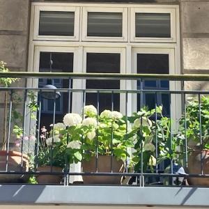 Cosy apartment Christianshavn
