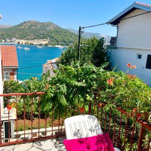 Apartman Maja