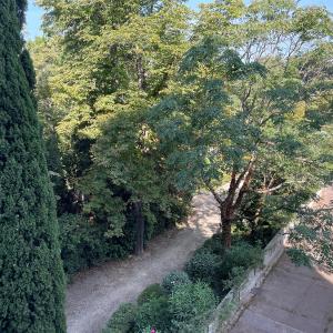 MIchelet st jacques saxo