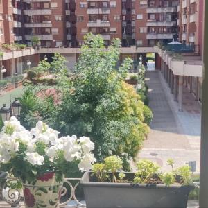 Alojamiento Oviedo 3 con parking