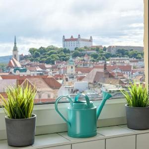 Falcon Apartment, Pano, view, Old Town,