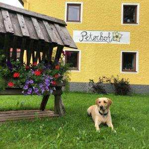 Peterhof – komm als Gast & geh als Freund