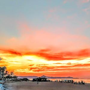 LA NARANJA DENIA 1ªlinea de playa -Wifi- Parking free