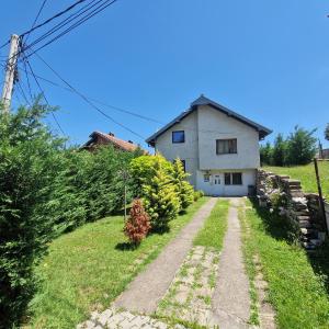 Large house for summer holidays