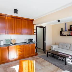 Cozy and Comfortable Apartment in Gudauri