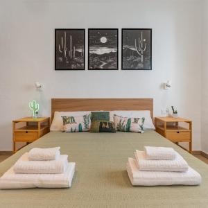 Casa Cactus