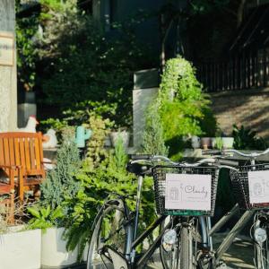 Cloudy Homestay Hoi An