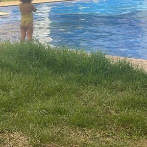 شقة الجميلة