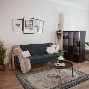 Pablo Apartment Cesis
