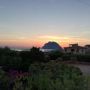 Villa Iris