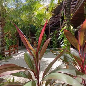 Secret paradise mahahual
