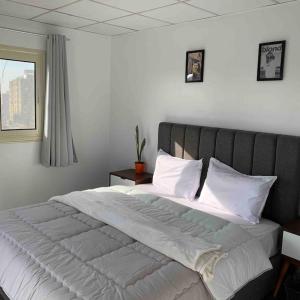 Cozy rooftop Apartment in Mohandesin