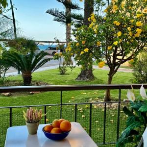 Charming Beachfront Apartment