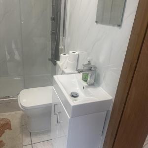 Leyton Orient Stduio Flat