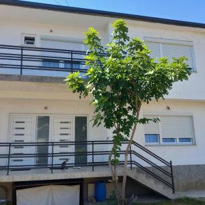 Domi Apartment