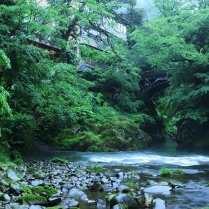 Koorogirou