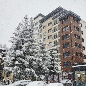 Apartman Mijatović 22