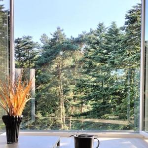Modernes Apartment Melia